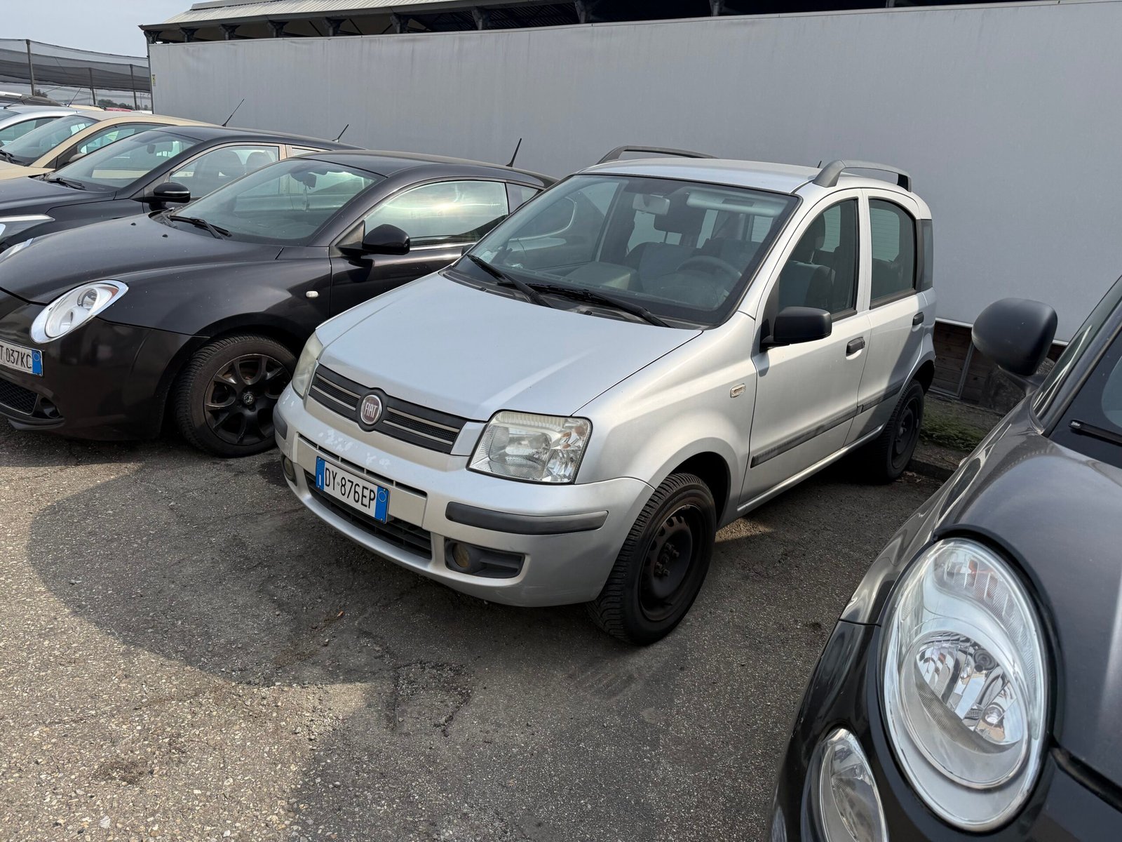 Fiat Panda 1.2 Natural Pawer in arrivo